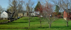 houses-bond-street-green