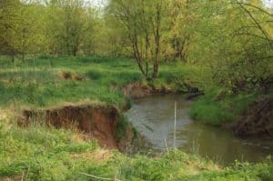 Catoctin Creek Stream Banks in Loudoun County VA