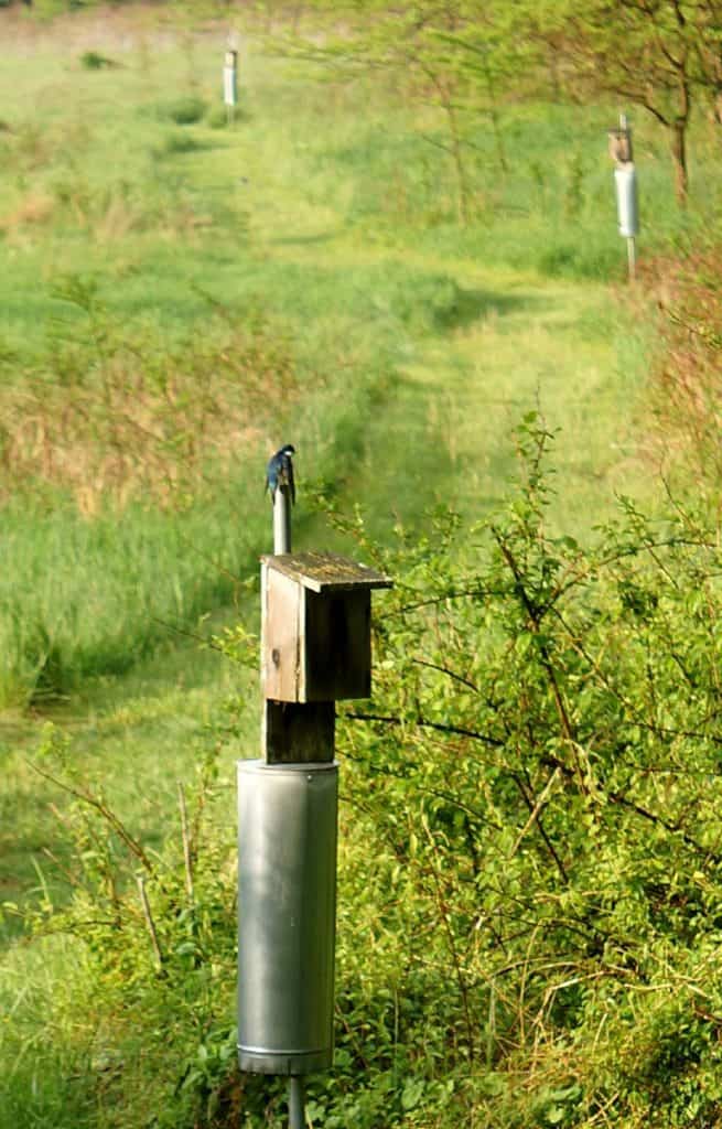 Phillips Farm Walking Trail | The Village of Waterford, Virginia - A ...